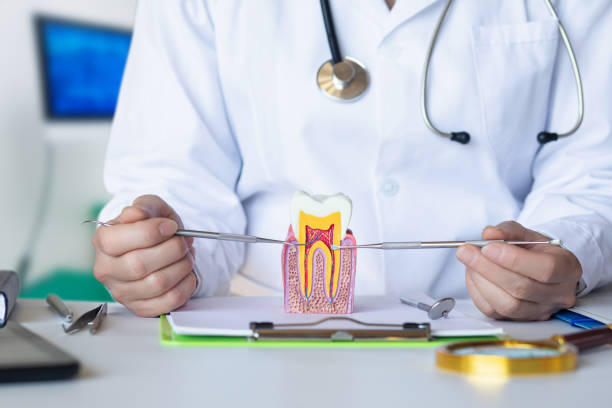 Best Emergency Tooth Extraction in Maryville, TN